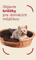 Dog beds 2026