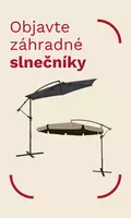 Parasols 2 2026