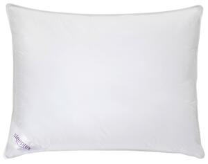 VANKÚŠ, 70/90 cm Sleeptex - Prikrývky & vankúše
