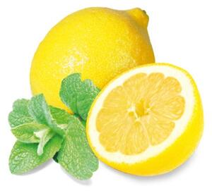 Sentiotec esencia do sauny mäta a citrón 1000 ml