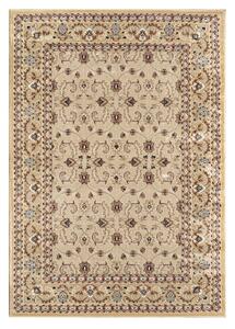 Angel Carpet, Kusový koberec Sultan 26 Beige, 60x110, béžová, kancelária