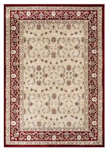 Angel Carpet, Kusový koberec Sultan 21 Red, 60x110, červená, kancelária