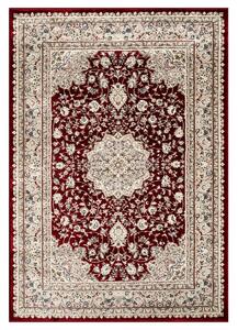 Angel Carpet, Kusový koberec Sultan 12 Red, 60x110, červená, kancelária