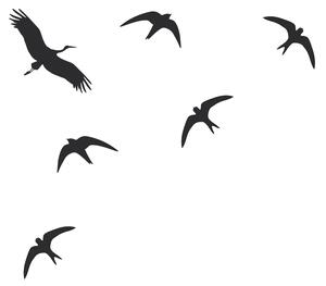 Pieris design Siluety vtákov - nálepky na okno azúrová
