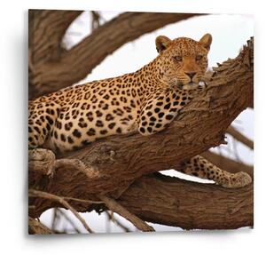 Sablio Obraz Leopard 2 - 50x50 cm