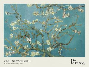 Obrazová reprodukcia Mandľové kvety, Vincent van Gogh