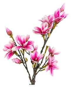 Umelá kvetina Magnolia – House Nordic