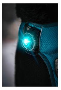 LED svetlo na obojok Turquoise – Orbiloc