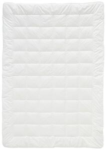 LETNÁ PRIKRÝVKA, 135/200 cm, polyester, duté vlákno Billerbeck - Prikrývky & vankúše
