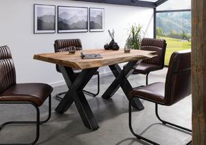 Stôl Palisander 160x90x77 prírodný morený / X-nohy antracit lesklý METALL 5