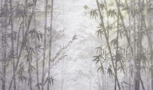 Luxusná vliesová fototapeta na stenu, Bambus, Z77590, Savana, Zambaiti Parati