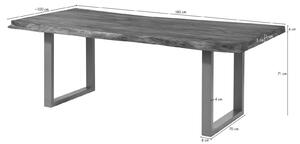 Stôl mango 180x90x77 béžový lakovaný / U-nohy strieborné matné METALL 5