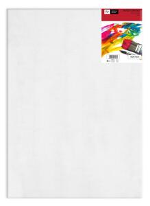 Plátno maliarske 1,7cm 50x70