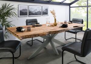 Stôl Palisander 180x90x77 prírodný pieskovaný / krížový rám strieborný matný METALL 5