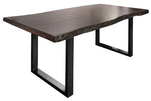 Stôl akácia 200x100x77 hnedý lakovaný / U-nohy antracit lesklý METALL 5