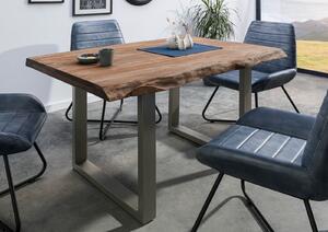 Stôl Palisander 160x90x77 sivý morený / U-nohy strieborné matné METALL 5