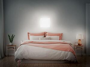 Livarno home Nástenné/stropné LED svietidlo (hranatý) (100368562)