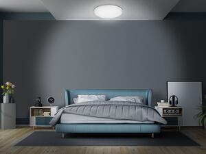 Livarno home Nástenné/stropné LED svietidlo (okrúhly) (100368562)