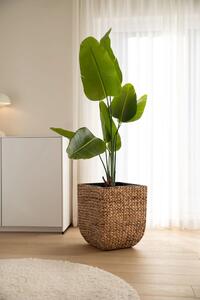 Kvetináč ASIA, vodný hyacint, výška 50 cm, natur