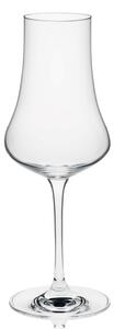 RONA BAR poháre na likér a destilát Fruit Spirit Glass 260 ml 6 ks