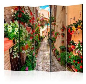 Paraván - Alley in Umbria II [Room Dividers]