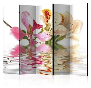 Paraván - Tropical flowers - orchid tree (bauhinia) II [Room Dividers]