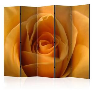 Paraván - Yellow rose – a symbol of friendship II [Room Dividers]