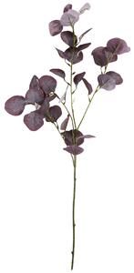 Umelý kvet Eucalyptus Burgundy 75 cm
