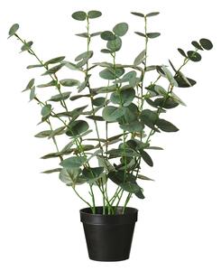 Umelý eukalyptus v kvetináči 52 cm