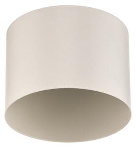 Stropné Lampa Euluna, Chloe, stmievateľné, Biela, Obývacia izba, Kov, Moderný