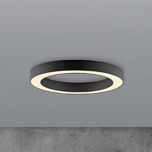 PURE stropné LED svetlo Lines, Ø 35 cm, grafit, diaľkové ovládanie, Čierna, Obývacia izba / jedáleň, Hliník, Moderný, Závesné svietidlo