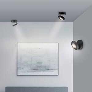 PURE stropné LED svetlo Oculis, čierne, Ø 15 cm, železo/sklo, Čierna, Obývacia izba / jedáleň, Moderný, Závesné svietidlo