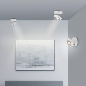 PURE stropné LED svetlo Oculis, biele, Ø 15 cm, železo/sklo, Biela / opálová, Obývacia izba / jedáleň, Moderný, Závesné svietidlo