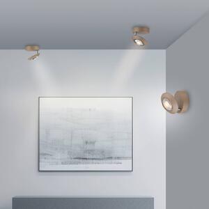 PURE stropné LED svetlo Oculis bronzová farba, Ø 15 cm železo/sklo, Hnedá / staromosadz, Obývacia izba / jedáleň, Moderný, Závesné svietidlo
