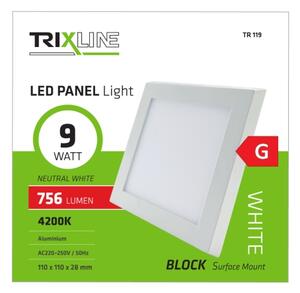 LED Stropné svietidlo LED/9W/230V 4200K