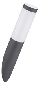 Globo 3157A - Vonkajšie nástenné svietidlo BOSTON 1xE27/60W/230V