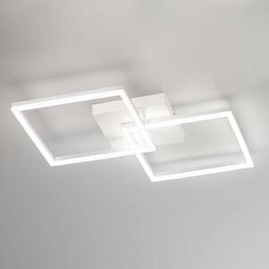Moderné stropné LED svietidlo Bard v bielej