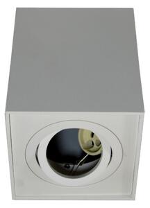 Bodové svietidlo SIROCO 1xGU10/30W/230V biela