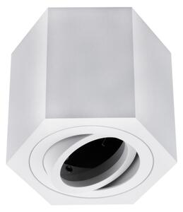 Stropné svietidlo ARENO 1xGU10/30W/230V biela