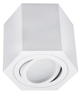 Stropné svietidlo ARENO 1xGU10/30W/230V biela