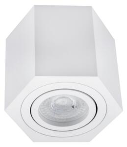 Stropné svietidlo ARENO 1xGU10/30W/230V biela