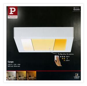 Paulmann 79796 - LED/13W Stropné svietidlo CARPO 230V 2300-3000K