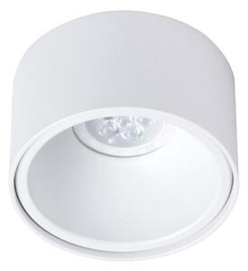 Podhľadové bodové svietidlo BALI 1xGU5,3/MR16/25W/12V okrúhly biela