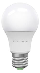 LED Žiarovka ECOLINE A60 E27/15W/230V 6500K - Brilagi