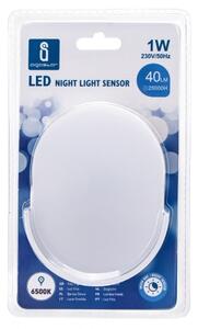 Aigostar - LED Nočné svetlo so senzorom LED/1W/230V oválny