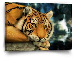 Sablio Obraz tiger - 60x40 cm