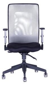 Kancelárska stolička na kolieskach Office Pro CALYPSO GRAND BP – s podrúčkami Svetlosivá 12A11