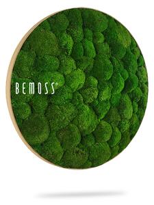 Machový obraz kruh Bolmoss Natural Green