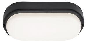 Rabalux 7409 - LED Vonkajšie stropné svietidlo HORT LED/15W/230V IP54 čierna