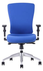 Kancelárska ergonomická stolička Office Pro HALIA BP – bez podhlavníka, viac farieb Sivá 2625
